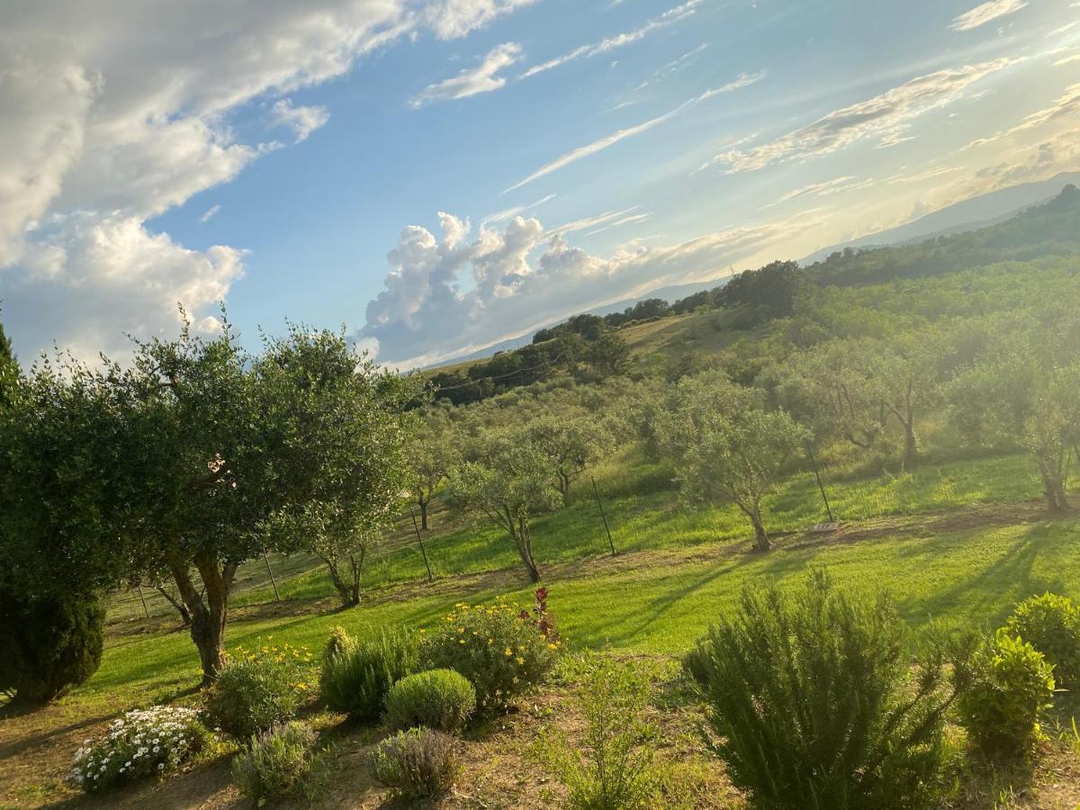 Agriturismo Palazzo Val Del Sasso Villastrada  Ngoại thất bức ảnh